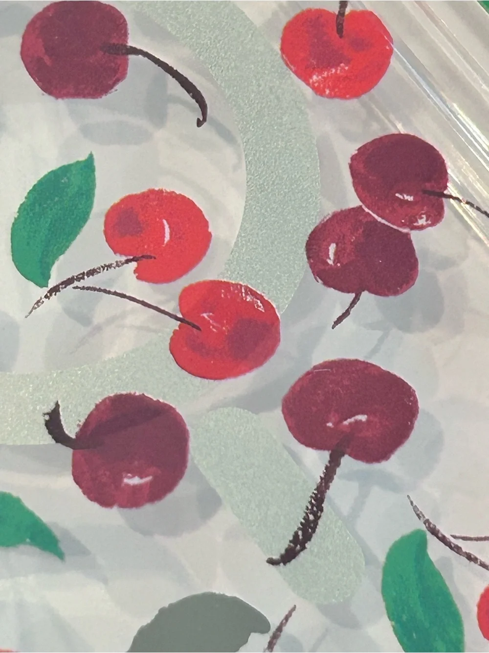 kate spade Clear Cherry Pattern iPhone 16 Pro Max Case MagSafe New in Box